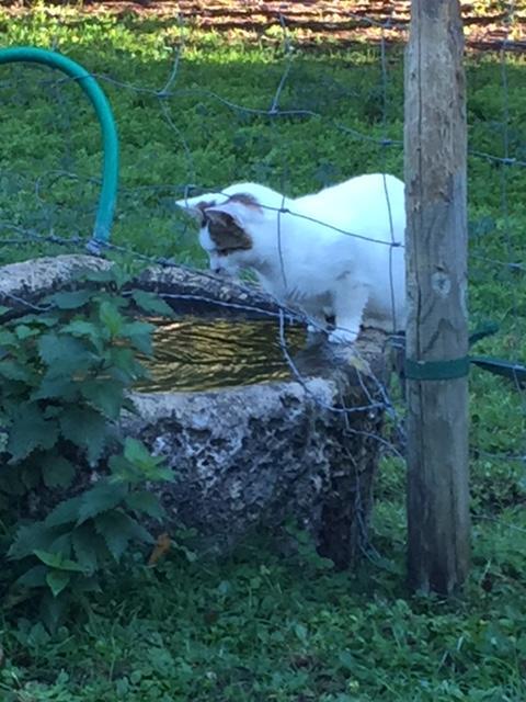 Mornac Les Pierrottesヴィラ エクステリア 写真